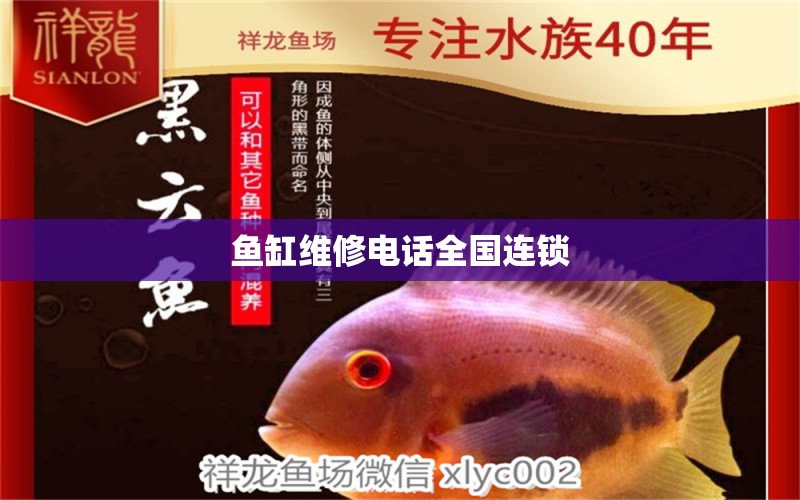 魚(yú)缸維修電話(huà)全國(guó)連鎖 其他品牌魚(yú)缸