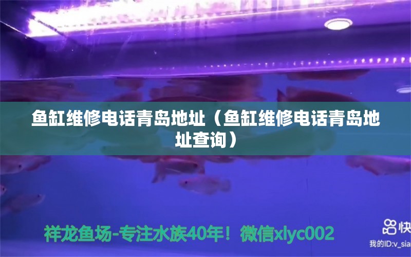 魚缸維修電話青島地址（魚缸維修電話青島地址查詢） 其他品牌魚缸