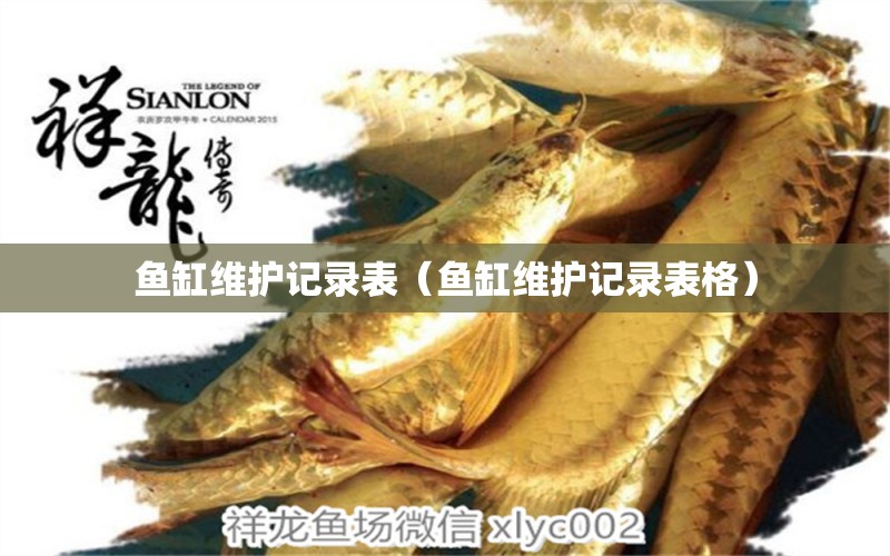 魚缸維護(hù)記錄表（魚缸維護(hù)記錄表格） 祥龍水族醫(yī)院