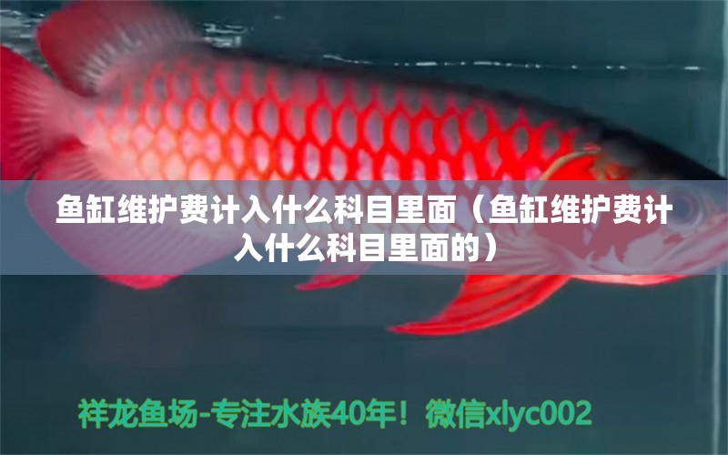 魚缸維護(hù)費(fèi)計入什么科目里面（魚缸維護(hù)費(fèi)計入什么科目里面的）