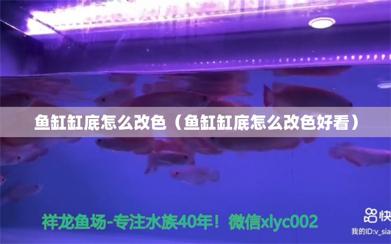 魚(yú)缸缸底怎么改色（魚(yú)缸缸底怎么改色好看）