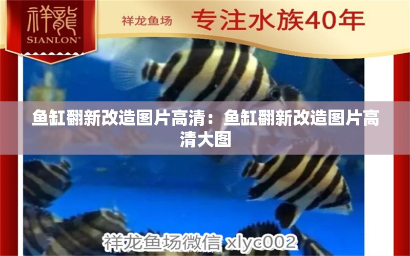 魚缸翻新改造圖片高清：魚缸翻新改造圖片高清大圖