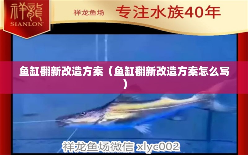 魚缸翻新改造方案（魚缸翻新改造方案怎么寫）