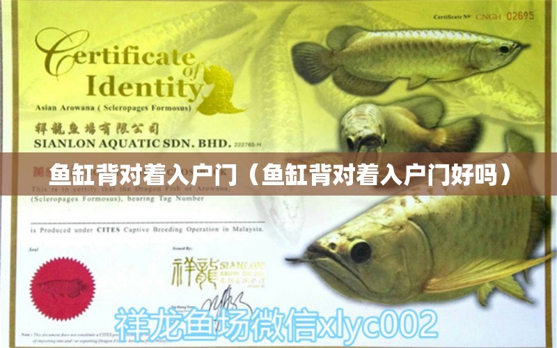 魚缸背對著入戶門（魚缸背對著入戶門好嗎）