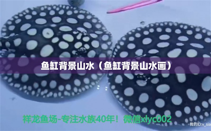 魚(yú)缸背景山水（魚(yú)缸背景山水畫(huà)） 祥龍水族醫(yī)院