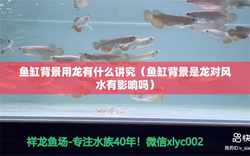 魚缸背景用龍有什么講究（魚缸背景是龍對風水有影響嗎） 其他品牌魚缸