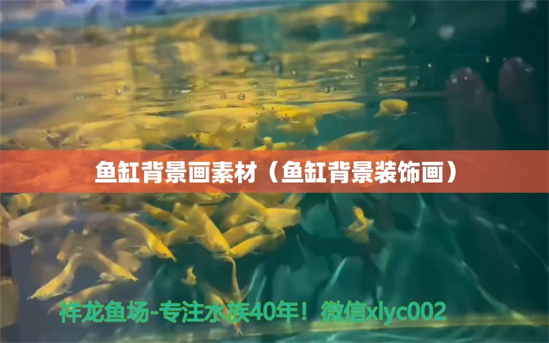 魚缸背景畫素材（魚缸背景裝飾畫） 廣州觀賞魚批發(fā)市場(chǎng)