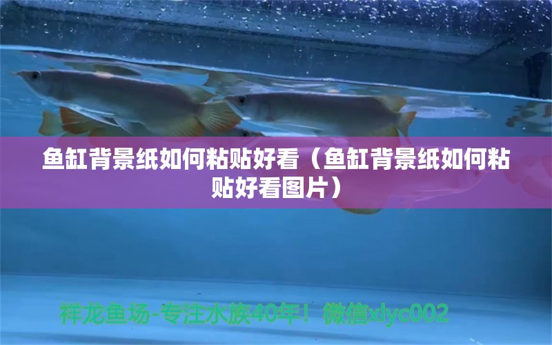 魚缸背景紙如何粘貼好看（魚缸背景紙如何粘貼好看圖片）