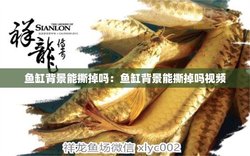 魚缸背景能撕掉嗎：魚缸背景能撕掉嗎視頻