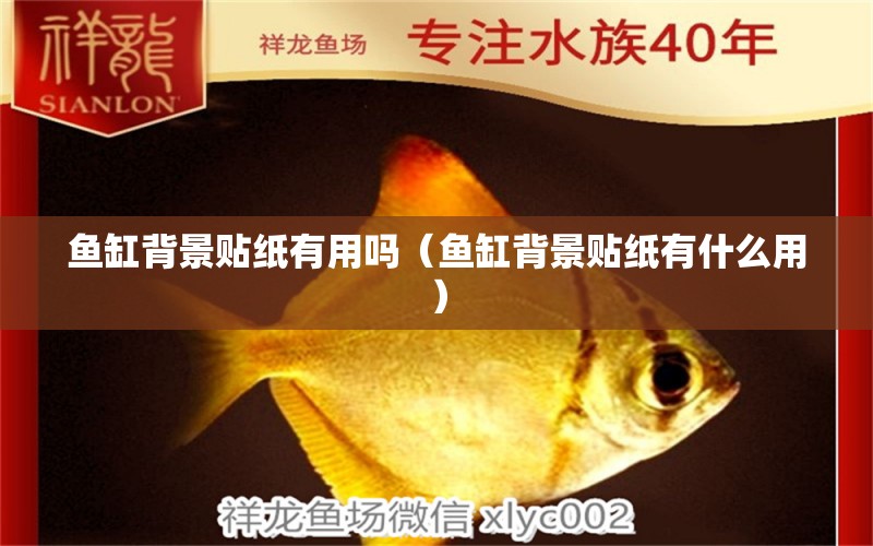 魚缸背景貼紙有用嗎（魚缸背景貼紙有什么用）