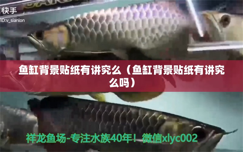 魚缸背景貼紙有講究么（魚缸背景貼紙有講究么嗎）