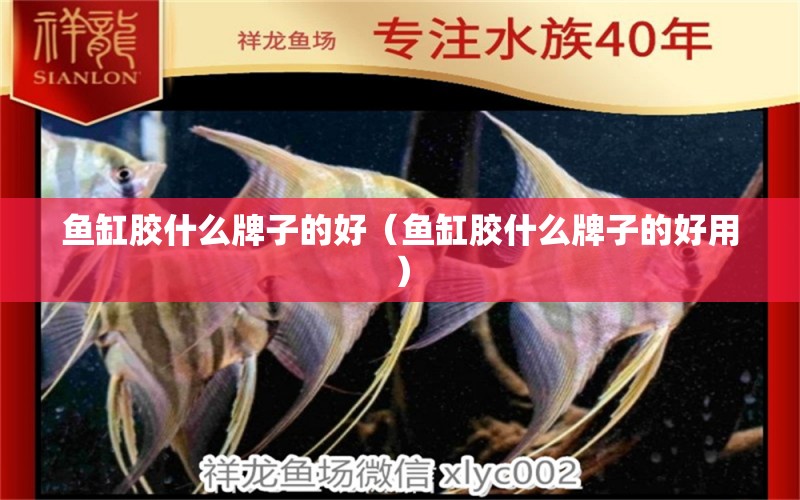 魚缸膠什么牌子的好（魚缸膠什么牌子的好用） 祥龍水族醫(yī)院