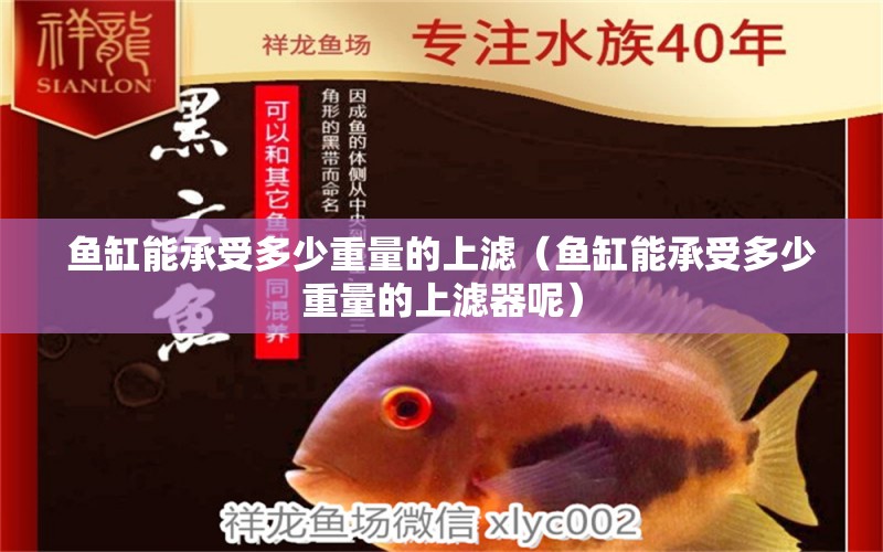 魚缸能承受多少重量的上濾（魚缸能承受多少重量的上濾器呢）