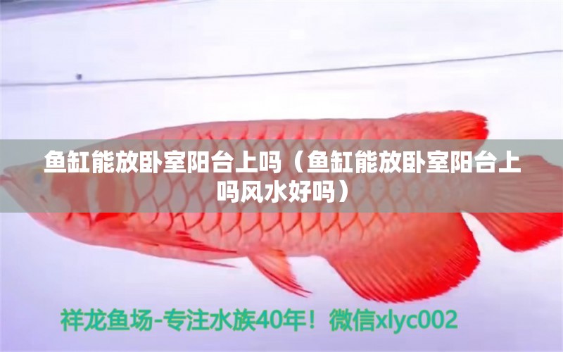 魚缸能放臥室陽臺上嗎（魚缸能放臥室陽臺上嗎風(fēng)水好嗎） 魚缸風(fēng)水