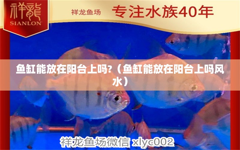 魚缸能放在陽臺上嗎?（魚缸能放在陽臺上嗎風(fēng)水） 魚缸風(fēng)水