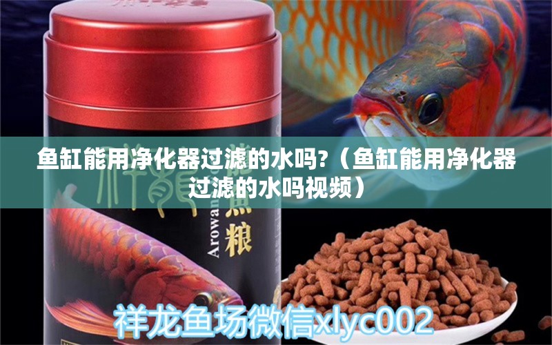 魚缸能用凈化器過濾的水嗎?（魚缸能用凈化器過濾的水嗎視頻）