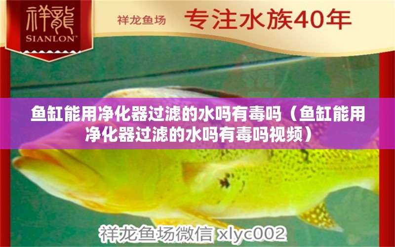 魚缸能用凈化器過濾的水嗎有毒嗎（魚缸能用凈化器過濾的水嗎有毒嗎視頻） 其他品牌魚缸