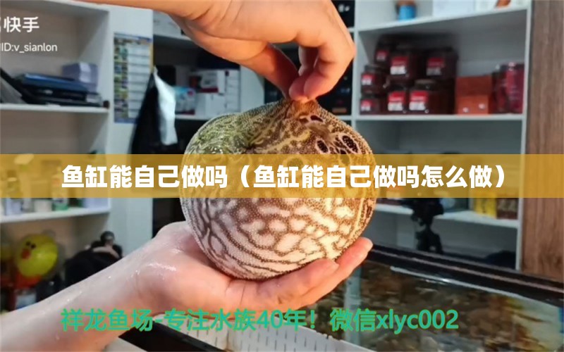 魚(yú)缸能自己做嗎（魚(yú)缸能自己做嗎怎么做）