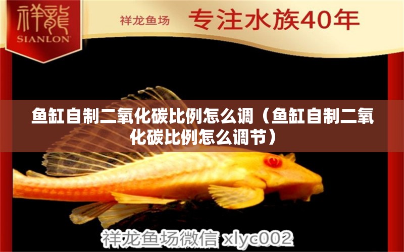 魚缸自制二氧化碳比例怎么調(diào)（魚缸自制二氧化碳比例怎么調(diào)節(jié)） 二氧化碳設備