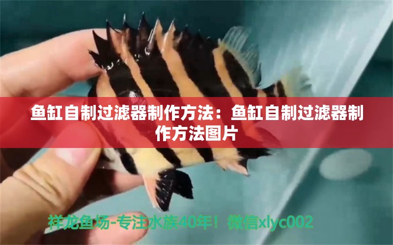 魚缸自制過濾器制作方法：魚缸自制過濾器制作方法圖片 養(yǎng)魚知識