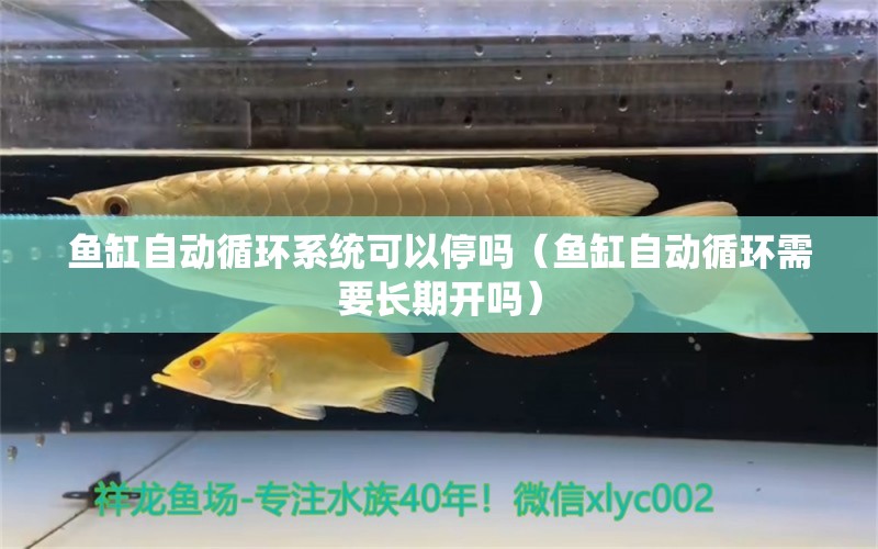 魚缸自動循環(huán)系統(tǒng)可以停嗎（魚缸自動循環(huán)需要長期開嗎） 其他品牌魚缸