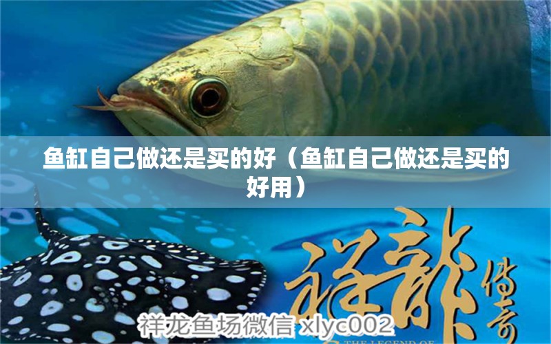 魚(yú)缸自己做還是買的好（魚(yú)缸自己做還是買的好用） 泰龐海蓮魚(yú) 第1張