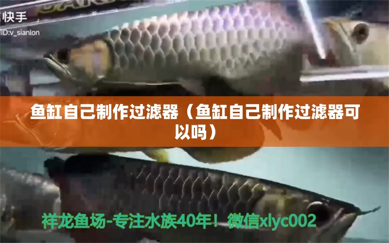 魚缸自己制作過濾器（魚缸自己制作過濾器可以嗎）