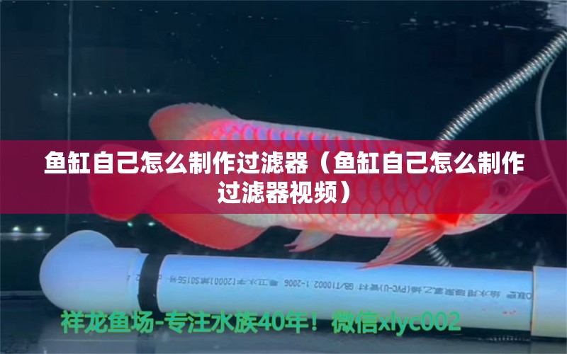 魚缸自己怎么制作過濾器（魚缸自己怎么制作過濾器視頻）