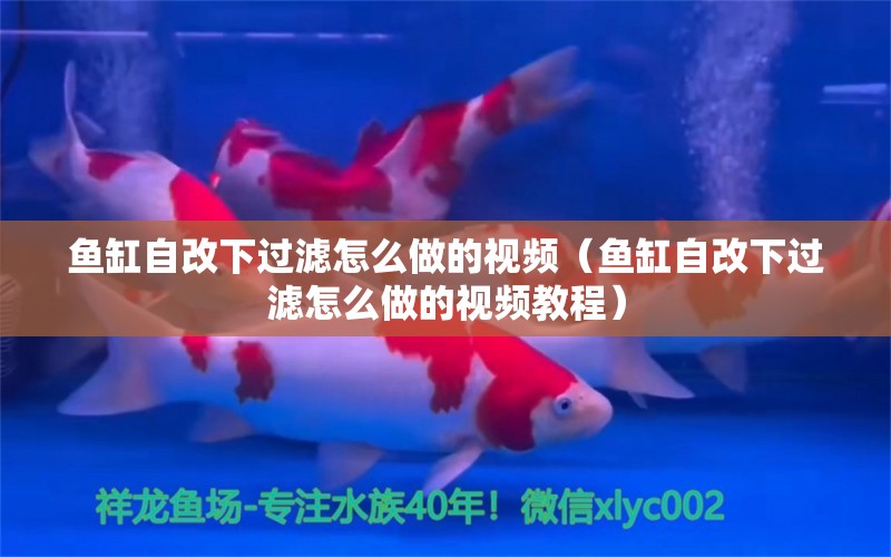 魚缸自改下過濾怎么做的視頻（魚缸自改下過濾怎么做的視頻教程）