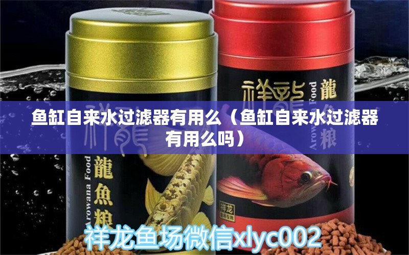 魚缸自來水過濾器有用么（魚缸自來水過濾器有用么嗎） 黃金達摩魚