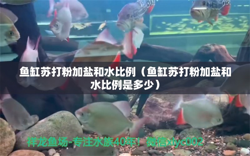 魚缸蘇打粉加鹽和水比例（魚缸蘇打粉加鹽和水比例是多少）