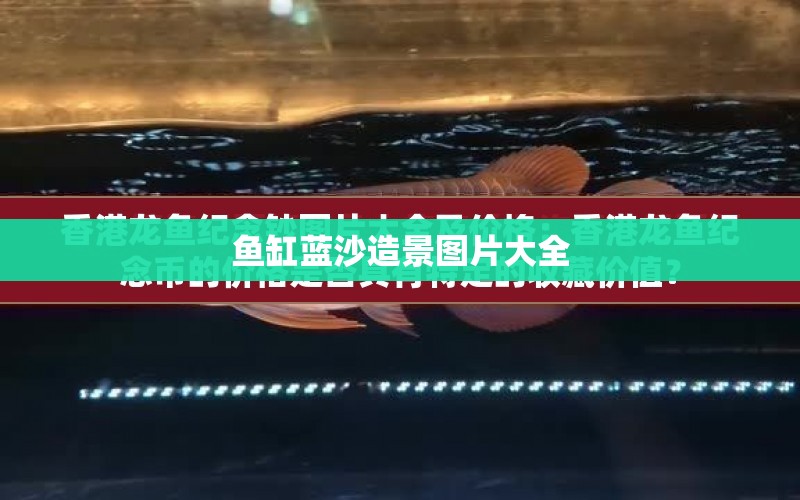 魚缸藍(lán)沙造景圖片大全 水族問答 第1張