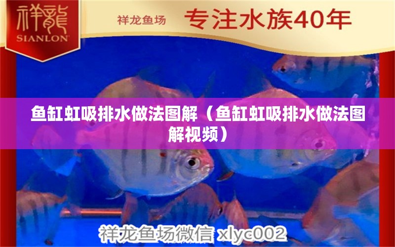 魚缸虹吸排水做法圖解（魚缸虹吸排水做法圖解視頻）