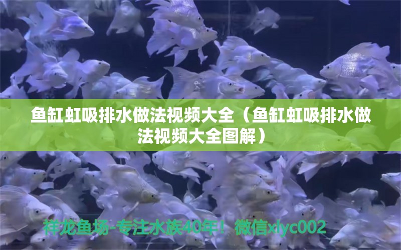 魚缸虹吸排水做法視頻大全（魚缸虹吸排水做法視頻大全圖解）