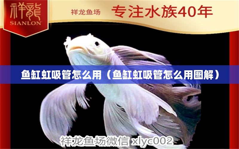 魚(yú)缸虹吸管怎么用（魚(yú)缸虹吸管怎么用圖解） 黃金斑馬魚(yú)