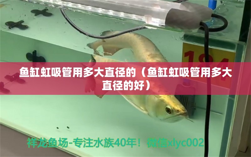 魚缸虹吸管用多大直徑的（魚缸虹吸管用多大直徑的好） 祥龍水族醫(yī)院