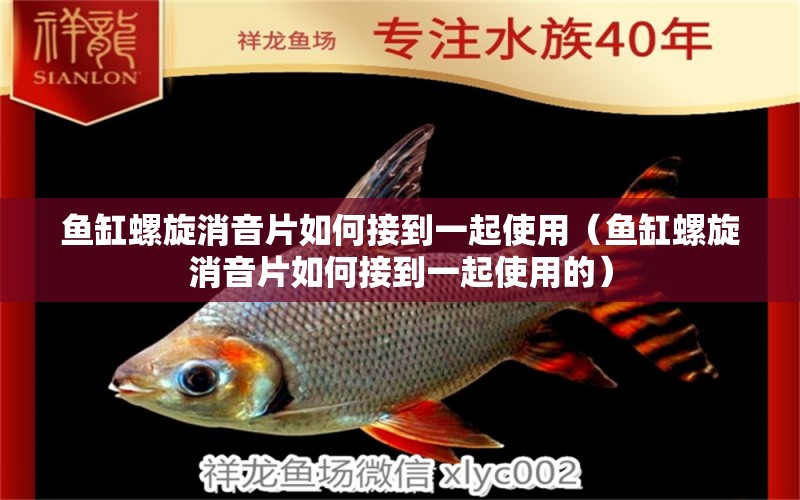 魚缸螺旋消音片如何接到一起使用（魚缸螺旋消音片如何接到一起使用的）