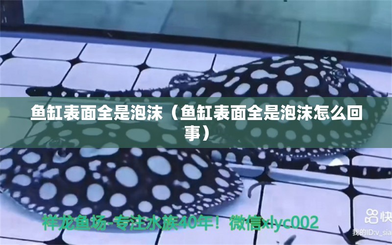 魚缸表面全是泡沫（魚缸表面全是泡沫怎么回事） 黑帝王魟魚