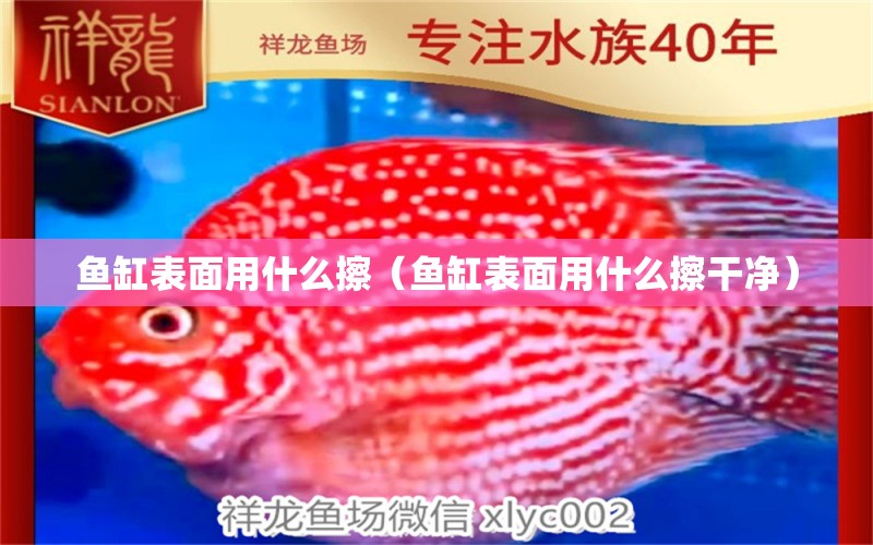 魚缸表面用什么擦（魚缸表面用什么擦干凈） 野生埃及神仙魚