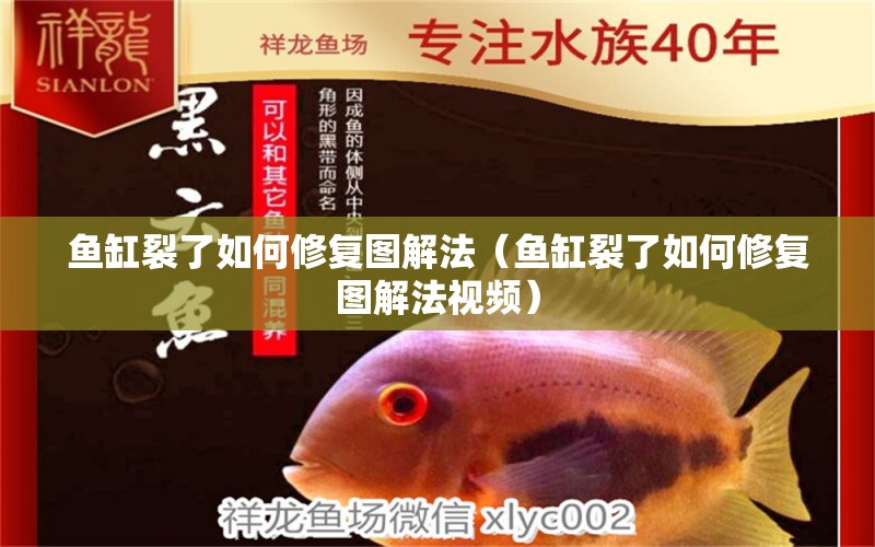 魚(yú)缸裂了如何修復(fù)圖解法（魚(yú)缸裂了如何修復(fù)圖解法視頻）