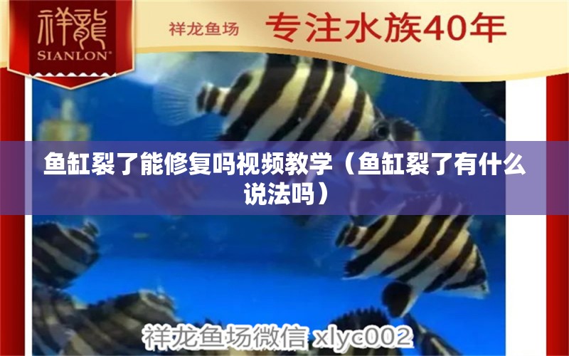 魚缸裂了能修復嗎視頻教學（魚缸裂了有什么說法嗎）