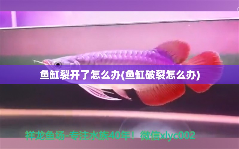 魚(yú)缸裂開(kāi)了怎么辦(魚(yú)缸破裂怎么辦) 照明器材