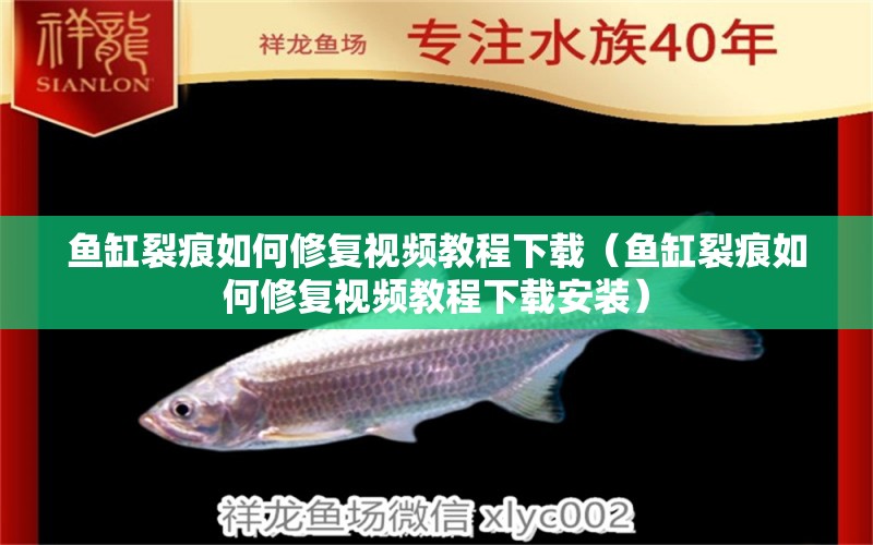 魚缸裂痕如何修復(fù)視頻教程下載（魚缸裂痕如何修復(fù)視頻教程下載安裝）