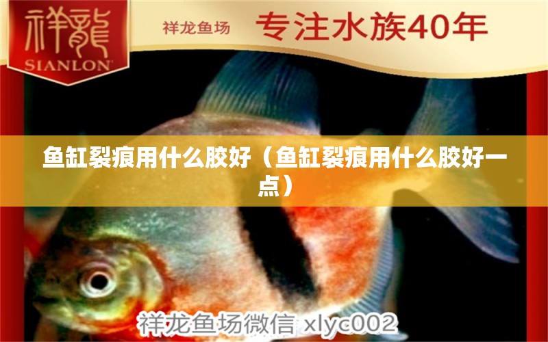 魚(yú)缸裂痕用什么膠好（魚(yú)缸裂痕用什么膠好一點(diǎn)）