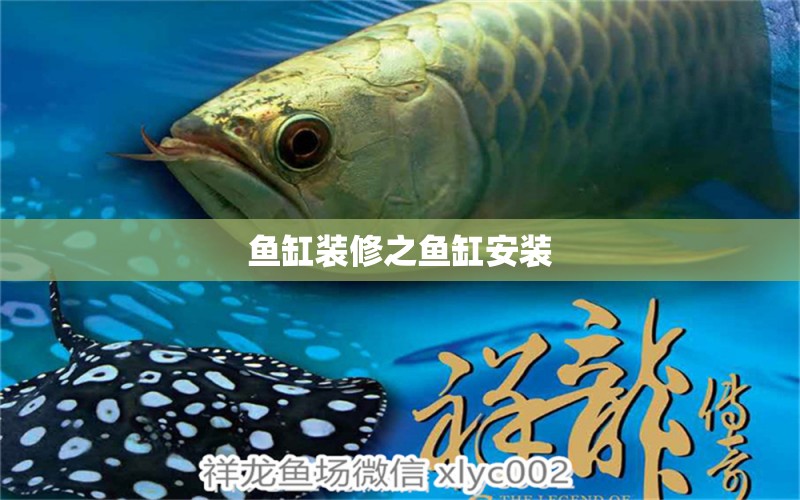 魚缸裝修之魚缸安裝 養(yǎng)魚知識(shí)