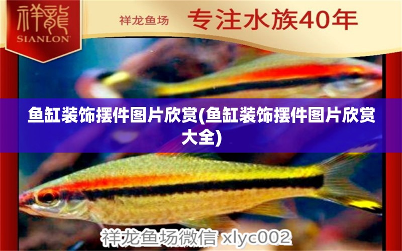 魚缸裝飾擺件圖片欣賞(魚缸裝飾擺件圖片欣賞大全) 魚缸風(fēng)水