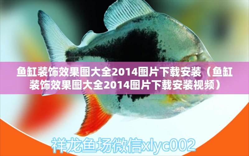 魚缸裝飾效果圖大全2014圖片下載安裝（魚缸裝飾效果圖大全2014圖片下載安裝視頻）