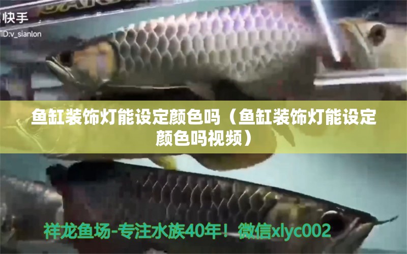 魚(yú)缸裝飾燈能設(shè)定顏色嗎（魚(yú)缸裝飾燈能設(shè)定顏色嗎視頻）