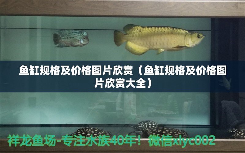 魚缸規(guī)格及價格圖片欣賞（魚缸規(guī)格及價格圖片欣賞大全）