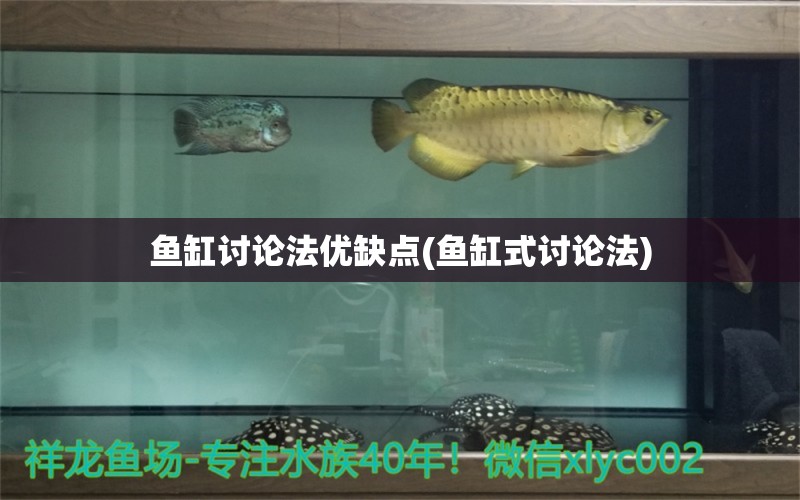 魚缸討論法優(yōu)缺點(魚缸式討論法) 泰國虎魚